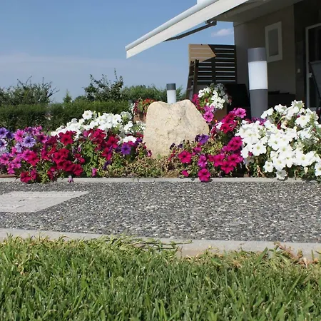 Mamas Guest house